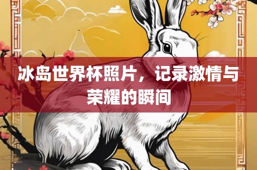 冰岛世界杯照片，记录激情与荣耀的瞬间