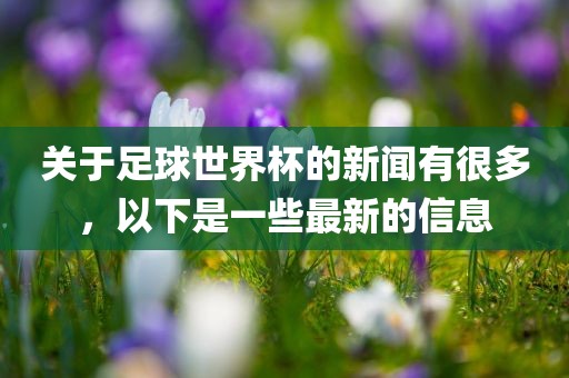 关于足球世界杯的新闻有很多，以下是一些最新的信息