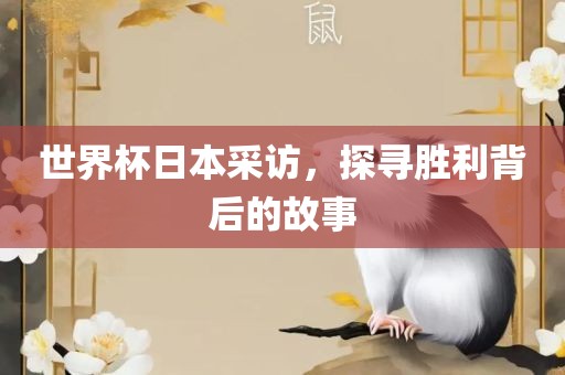 世界杯日本采访，探寻胜利背后的故事
