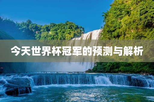 今天世界杯冠军的预测与解析