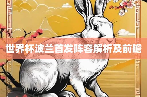 世界杯波兰首发阵容解析及前瞻