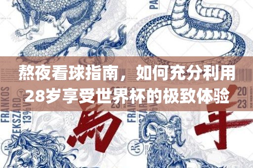 熬夜看球指南，如何充分利用28岁享受世界杯的极致体验