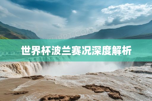 世界杯波兰赛况深度解析