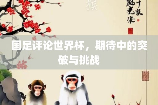 国足评论世界杯，期待中的突破与挑战