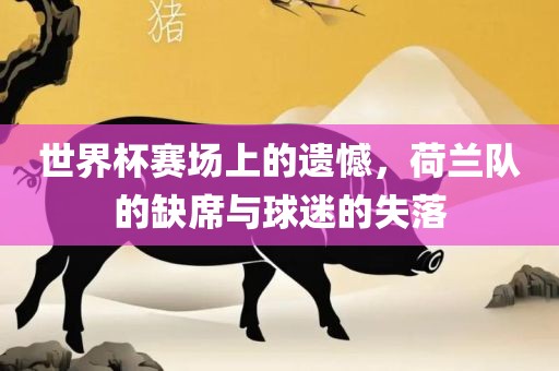 世界杯赛场上的遗憾，荷兰队的缺席与球迷的失落