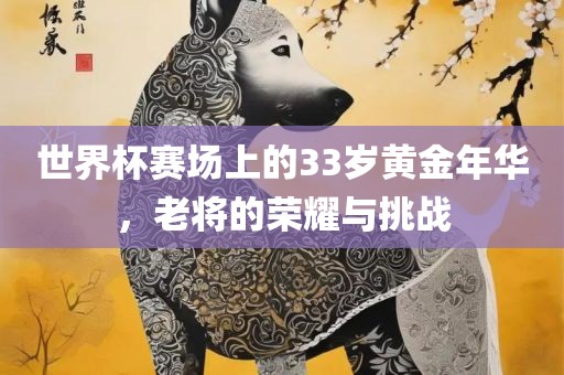 世界杯赛场上的33岁黄金年华，老将的荣耀与挑战