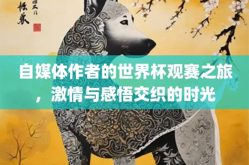 自媒体作者的世界杯观赛之旅，激情与感悟交织的时光