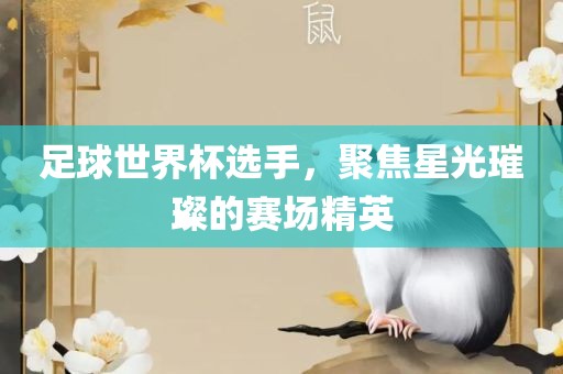 足球世界杯选手，聚焦星光璀璨的赛场精英