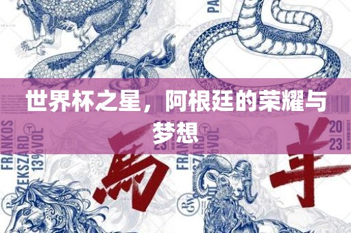 世界杯之星，阿根廷的荣耀与梦想