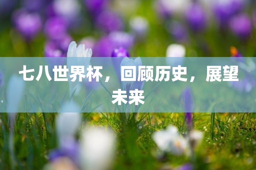 七八世界杯，回顾历史，展望未来