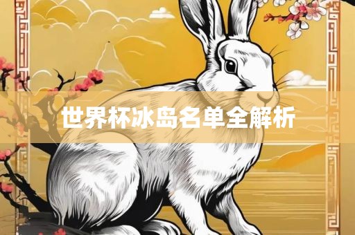 世界杯冰岛名单全解析