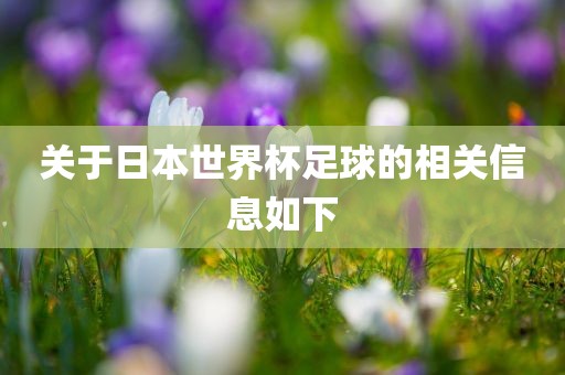 关于日本世界杯足球的相关信息如下