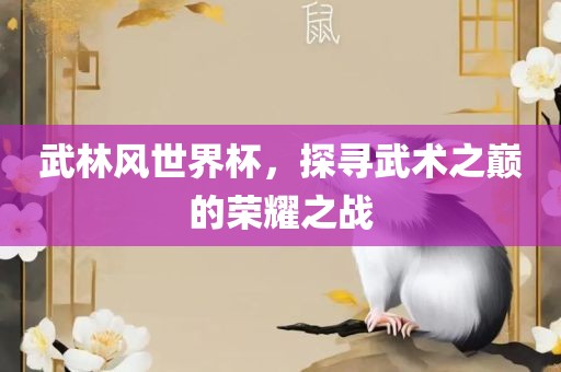 武林风世界杯，探寻武术之巅的荣耀之战