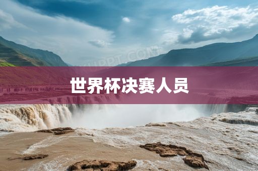 世界杯决赛人员