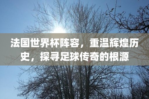 法国世界杯阵容，重温辉煌历史，探寻足球传奇的根源