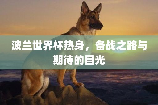 波兰世界杯热身，备战之路与期待的目光