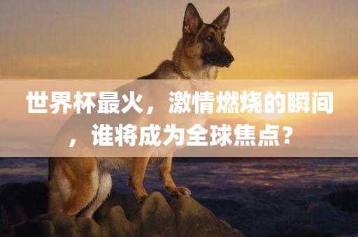 世界杯最火，激情燃烧的瞬间，谁将成为全球焦点？