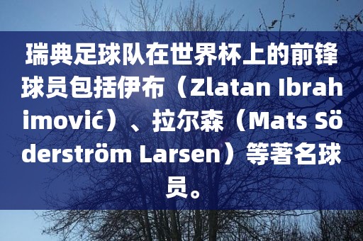 瑞典足球队在世界杯上的前锋球员包括伊布（Zlatan Ibrahimovi?）、拉尔森（Mats S?derstr?m Larsen）等著名球员。