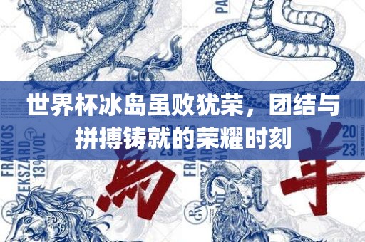 世界杯冰岛虽败犹荣，团结与拼搏铸就的荣耀时刻
