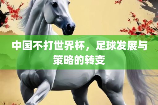 中国不打世界杯，足球发展与策略的转变