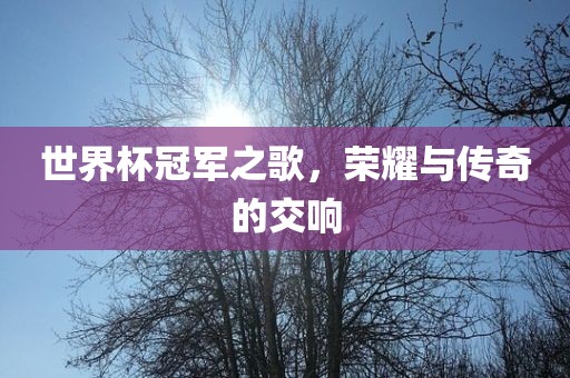 世界杯冠军之歌，荣耀与传奇的交响