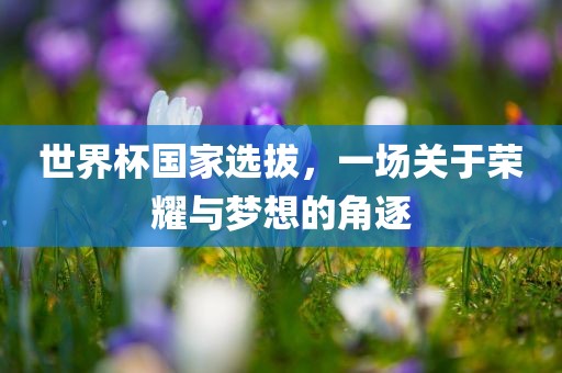 世界杯国家选拔，一场关于荣耀与梦想的角逐