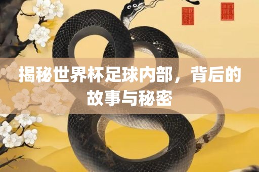 揭秘世界杯足球内部，背后的故事与秘密