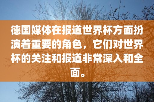德国媒体在报道世界杯方面扮演着重要的角色，它们对世界杯的关注和报道非常深入和全面。