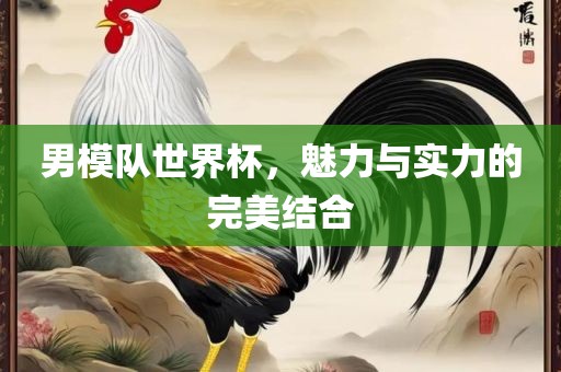 男模队世界杯，魅力与实力的完美结合
