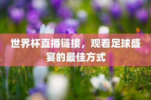 世界杯直播链接，观看足球盛宴的最佳方式