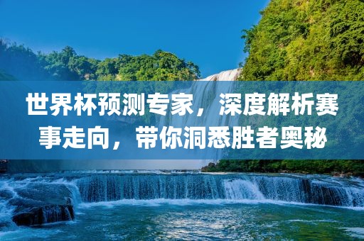 世界杯预测专家，深度解析赛事走向，带你洞悉胜者奥秘