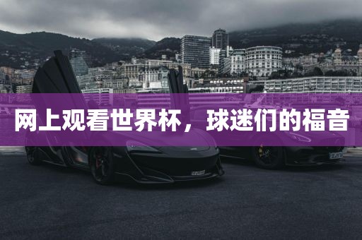 网上观看世界杯，球迷们的福音