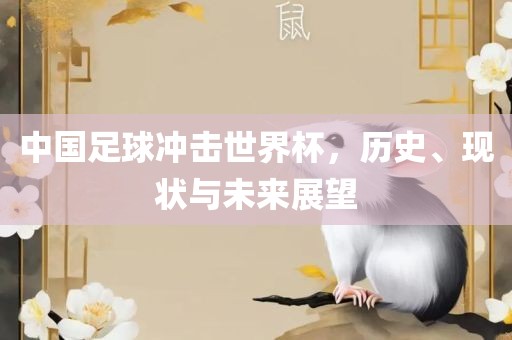 中国足球冲击世界杯，历史、现状与未来展望