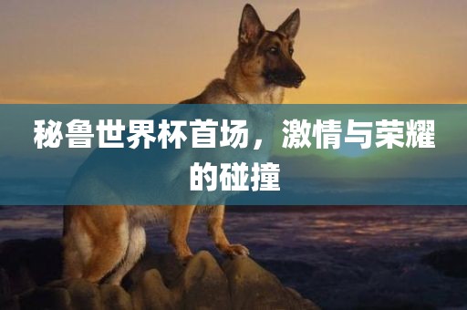 秘鲁世界杯首场，激情与荣耀的碰撞
