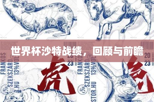 世界杯沙特战绩，回顾与前瞻