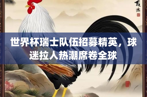 世界杯瑞士队伍招募精英，球迷拉人热潮席卷全球