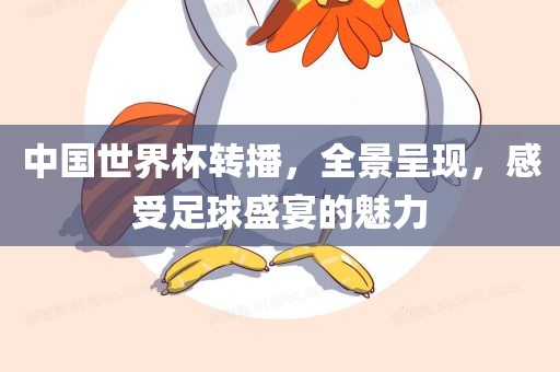 中国世界杯转播，全景呈现，感受足球盛宴的魅力