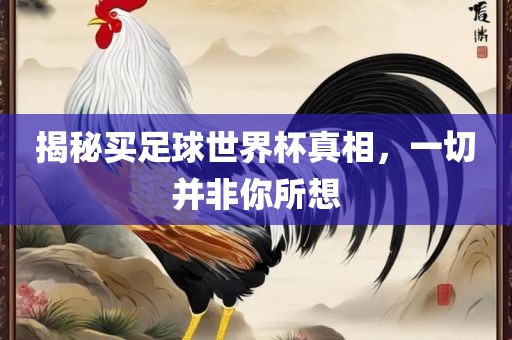 揭秘买足球世界杯真相，一切并非你所想