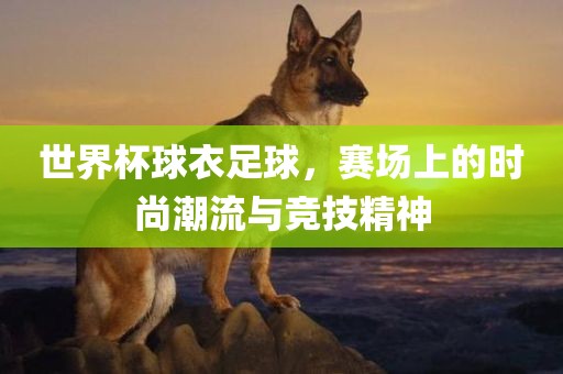 世界杯球衣足球，赛场上的时尚潮流与竞技精神