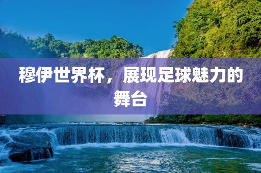 穆伊世界杯，展现足球魅力的舞台