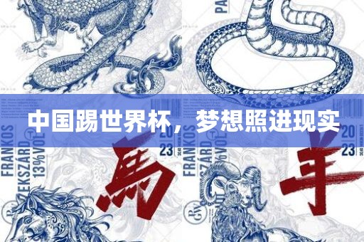 中国踢世界杯，梦想照进现实