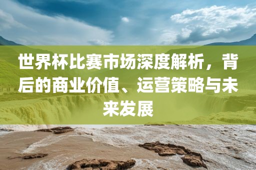 世界杯比赛市场深度解析，背后的商业价值、运营策略与未来发展