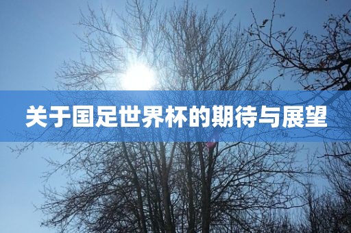 关于国足世界杯的期待与展望