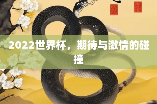 2022世界杯，期待与激情的碰撞