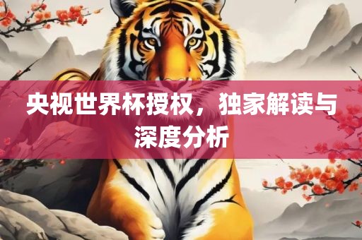 央视世界杯授权，独家解读与深度分析