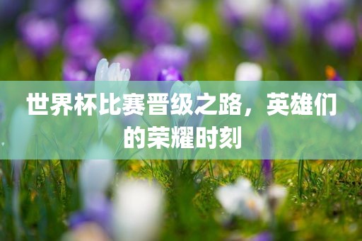 世界杯比赛晋级之路，英雄们的荣耀时刻