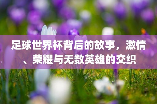 足球世界杯背后的故事，激情、荣耀与无数英雄的交织