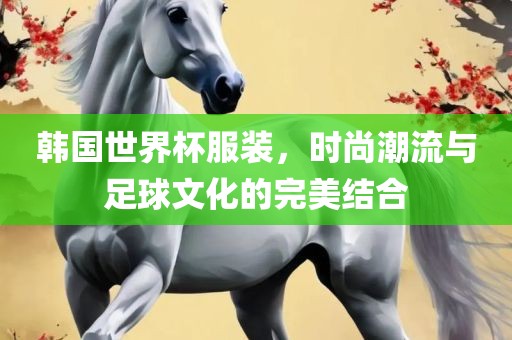 韩国世界杯服装，时尚潮流与足球文化的完美结合