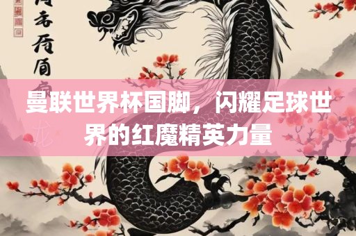 曼联世界杯国脚，闪耀足球世界的红魔精英力量