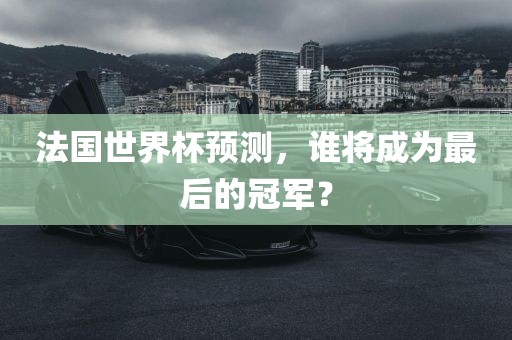 法国世界杯预测，谁将成为最后的冠军？